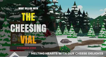 Cheesing Vial Uses: Creative Ideas for Your Leftover Cheese Solution