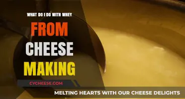 Creative Uses for Leftover Whey: Cheese Making By-Product Ideas