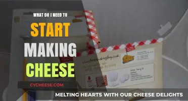 Essential Tools and Ingredients to Begin Your Cheese-Making Journey
