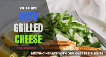 The Perfect Pairing: Grilled Cheese's Best Companions