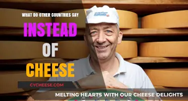 Say Cheese, Globally: Exploring Unique Photo Smiles Around the World