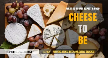 Exploring the Ideal Cheese: Texture, Flavor, and Quality Expectations