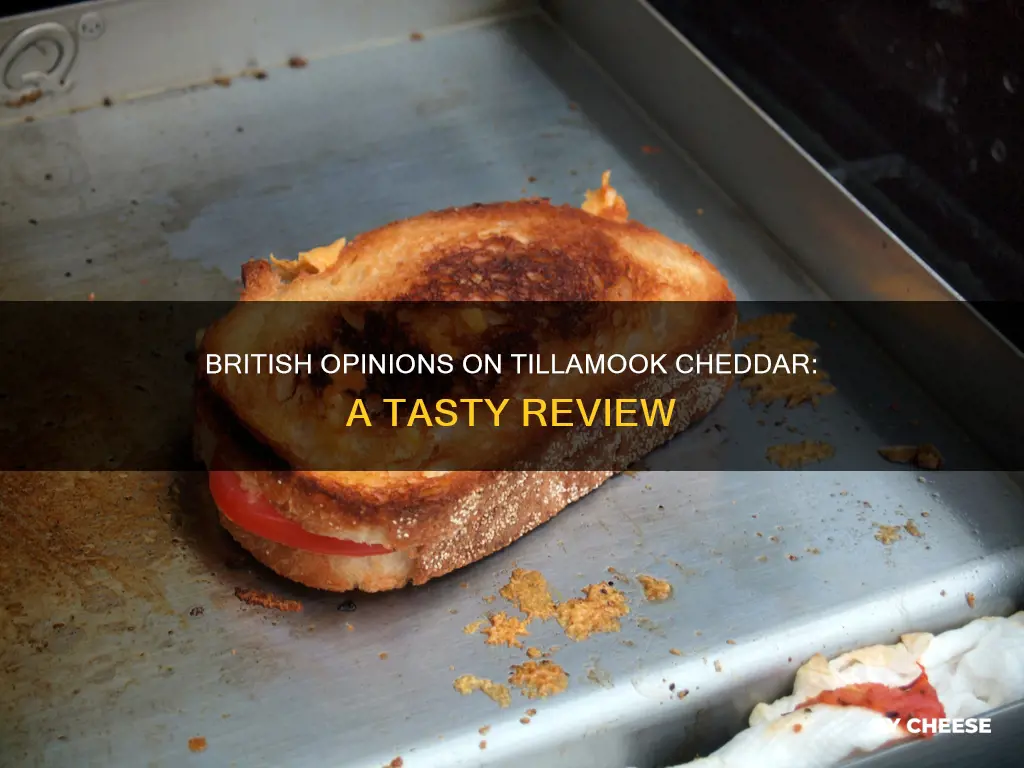 what do the brittish think of tillamook cheddar cheese