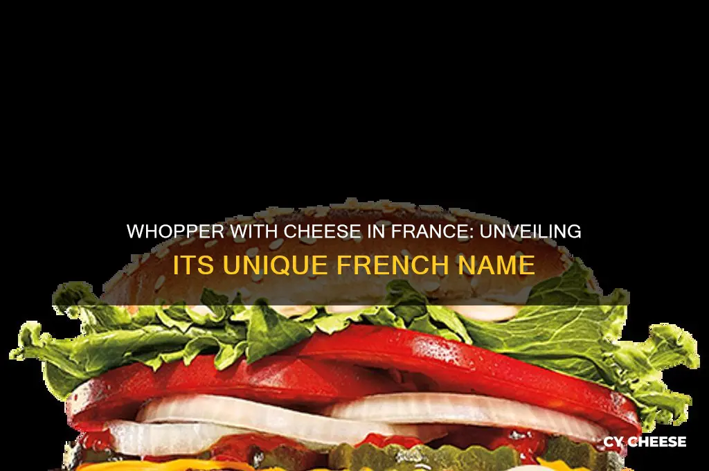 what do they call a whopper with cheese in france