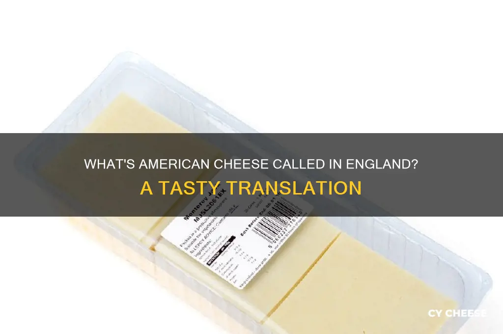 what do they call american cheese in england