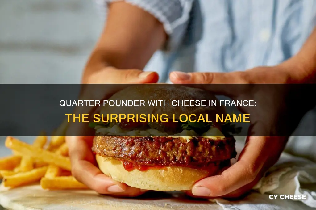 what do they call quarter pounder with cheese in france