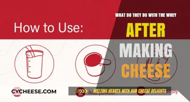 Whey Beyond Cheese: Surprising Uses for Cheese-Making Byproduct