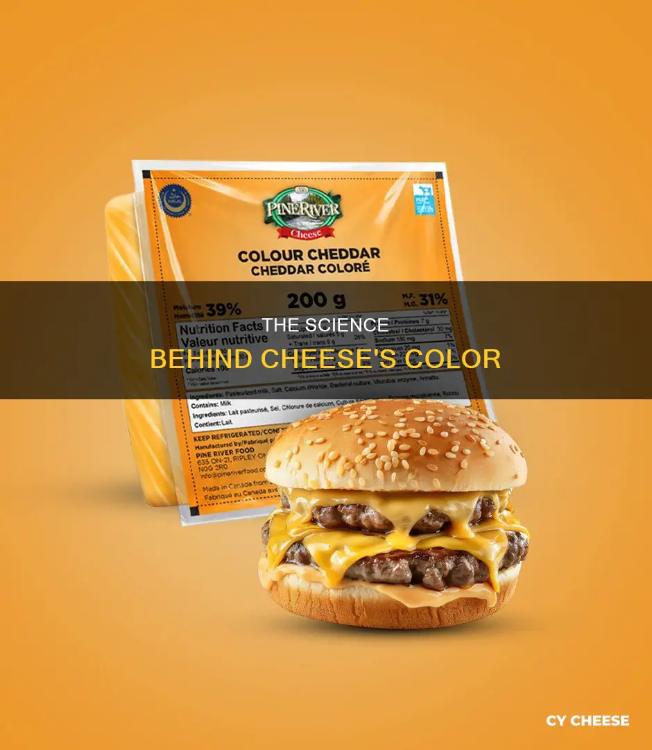 what do they use for cheese color