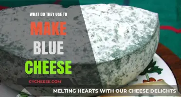 Crafting Blue Cheese: The Science Behind the Mold