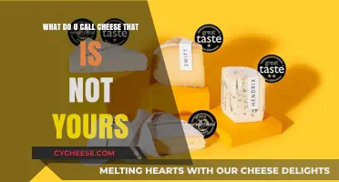 What Do You Call Cheese That’s Not Yours? A Playful Pun