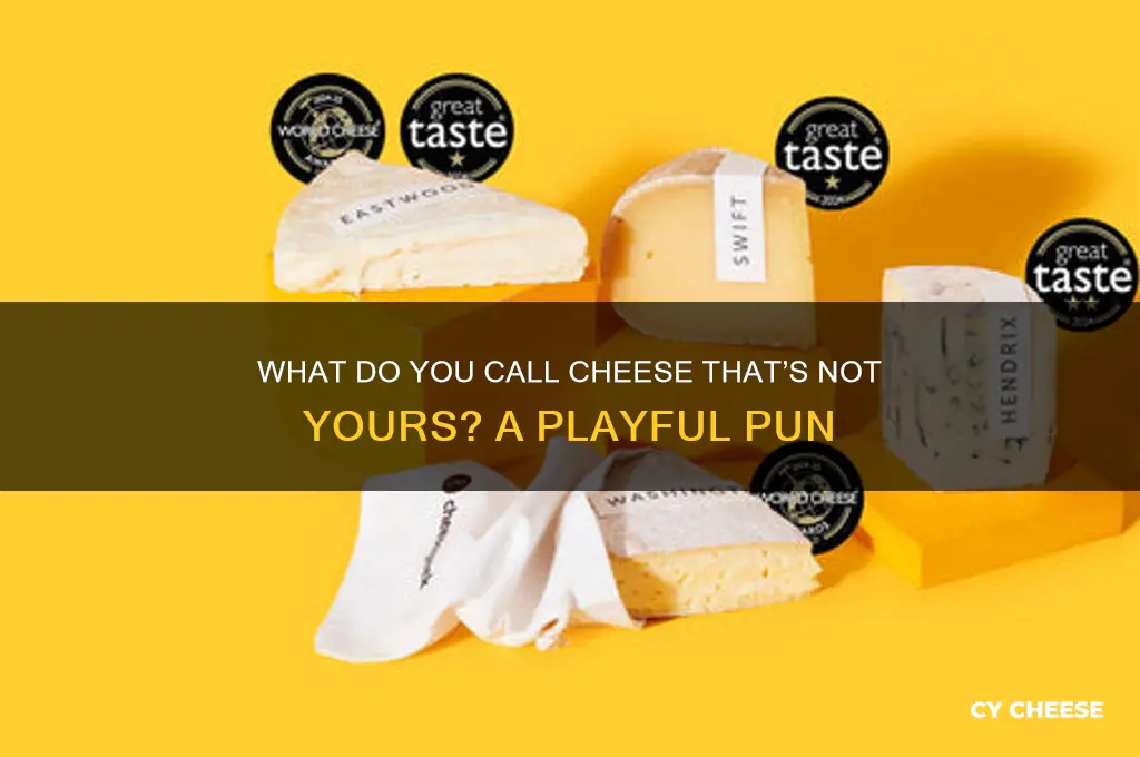 what do u call cheese that is not yours
