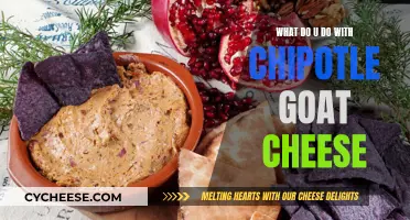 Creative Ways to Use Chipotle Goat Cheese: From Salads to Dishes