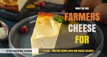 Farmers Cheese: A Multipurpose Ingredient for Your Kitchen