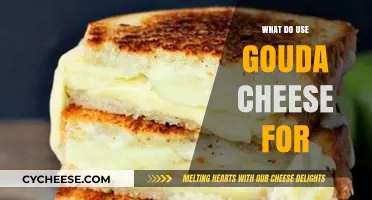 Gouda's Best Uses: A Cheesy Exploration