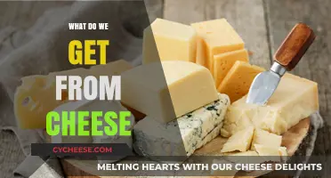 Cheese Benefits: Nutrition, Taste, and More