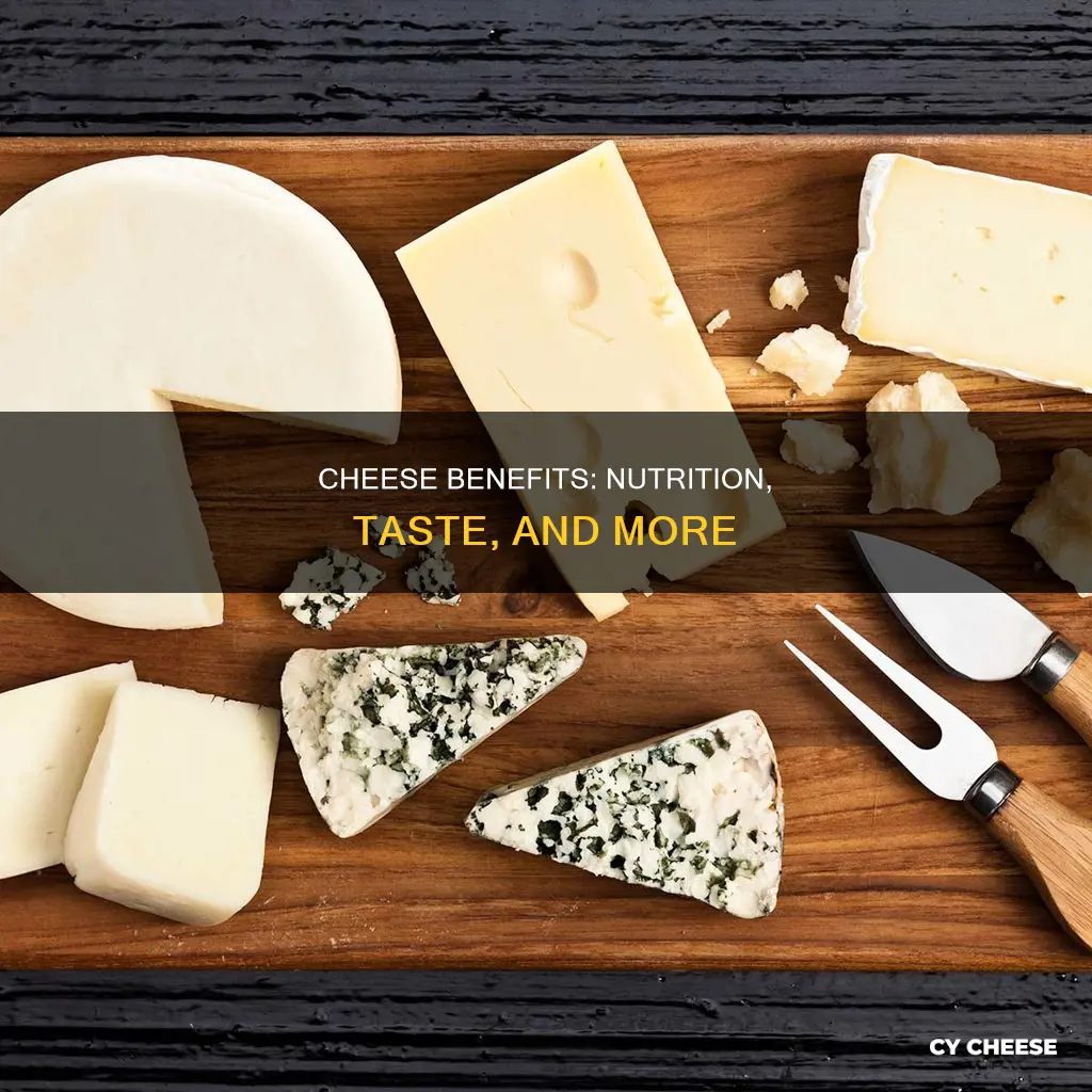 what do we get from cheese