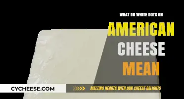 Unraveling the Mystery: What White Dots on American Cheese Mean