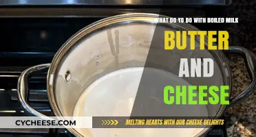 Creative Ways to Use Boiled Milk, Butter, and Cheese in Your Kitchen