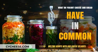 Yogurt, Cheese, and Bread: Uniting Fermentation and Culinary Traditions