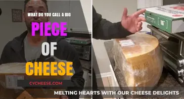 What's the Name for a Giant Cheese Block? Unraveling the Mystery