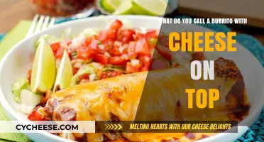 Cheesy Burrito Delight: Unveiling the Name of This Tasty Twist