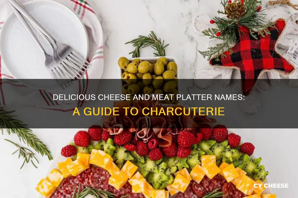 what do you call a cheese and meat platter