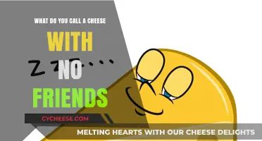 Lonely Cheese: The Tale of a Friendless Dairy Delight