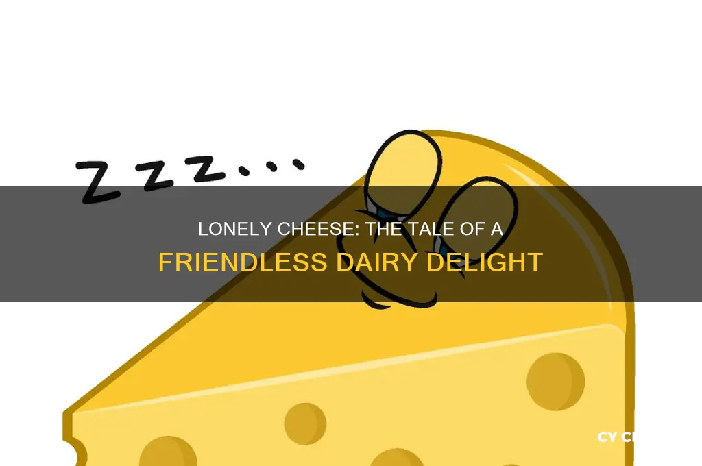 what do you call a cheese with no friends