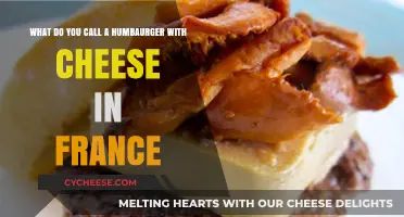 Cheesy French Twist: What’s a Hamburger with Cheese Called in France?
