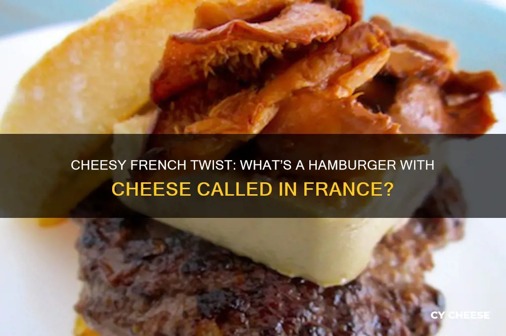 what do you call a humbaurger with cheese in france