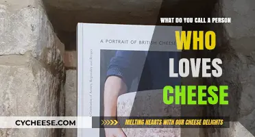 Cheese Enthusiasts: Unveiling the Perfect Term for Cheese Lovers