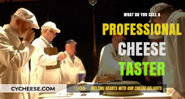 Mastering the Art of Cheese Tasting: The Professional Aficionado's Title