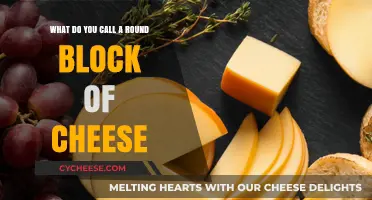 Round Cheese Blocks: Uncovering the Surprising Names Behind Circular Cheeses