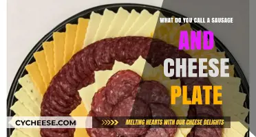 Sausage and Cheese Plate Names: A Tasty Charcuterie Guide