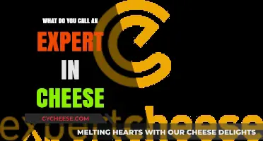 Mastering Cheese: Unveiling the Title of a Cheese Expert