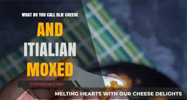 Blue Cheese and Italian Mozzarella: A Heavenly Cheesy Fusion Explored