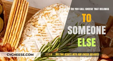 Borrowed Brie: The Humor in Naming Others' Cheesy Possessions