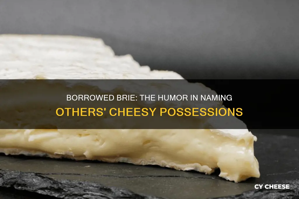 what do you call cheese that belongs to someone else