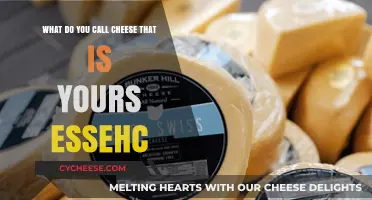 What’s Mine Is Cheese: Unraveling the ‘Essehc’ Mystery