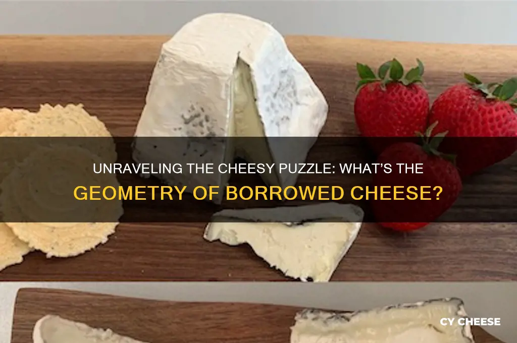 what do you call cheese that isn