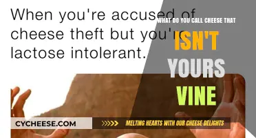 What Do You Call Cheese That Isn't Yours? Viral Vine Explained