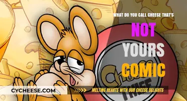 What Do You Call Cheese That's Not Yours? A Hilarious Comic Take