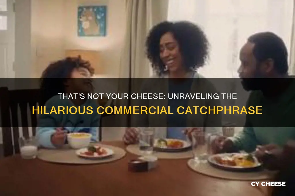 what do you call cheese that