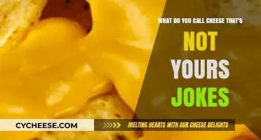 Cheesy Humor: Exploring the 'Not Yours' Cheese Joke Phenomenon
