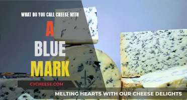The Intriguing World of Blue-Veined Cheese