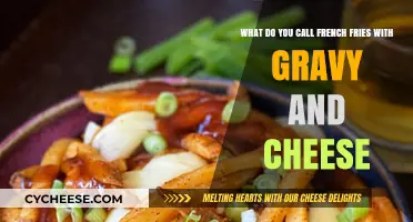 Cheesy Gravy Fries: The Ultimate Comfort Food's Tasty Name
