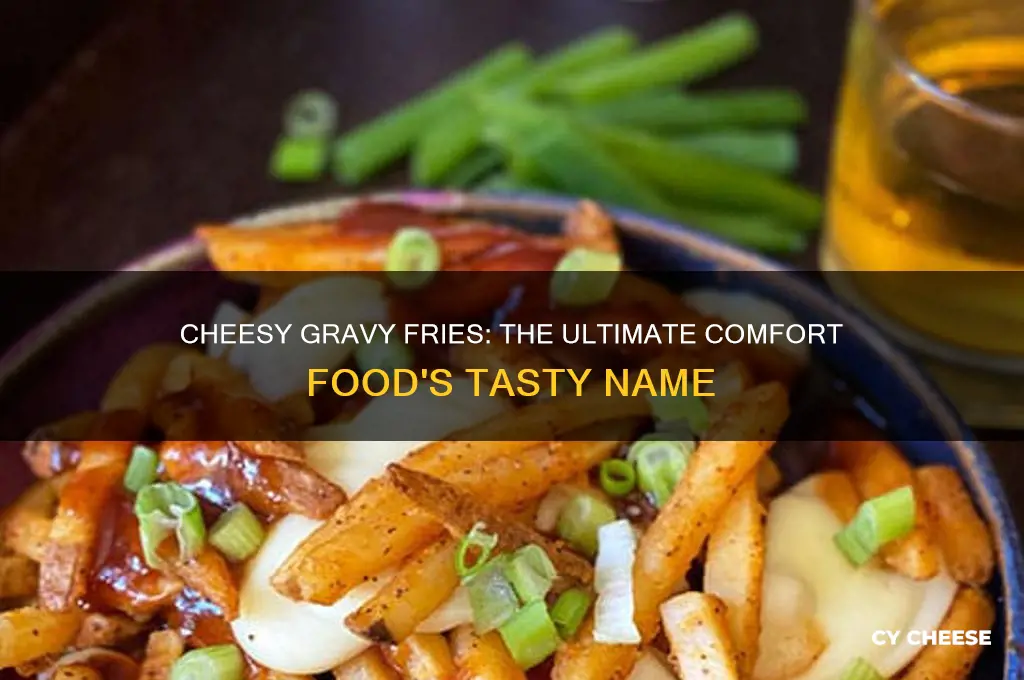 what do you call french fries with gravy and cheese