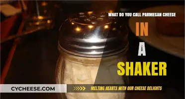 The Real Name for Shaker Parmesan Cheese