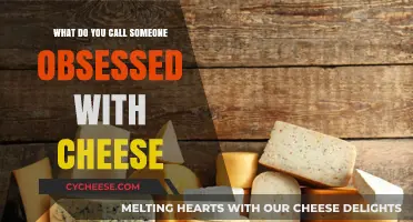 Cheese Enthusiast or Fanatic? Unraveling the Term for Cheese Obsession