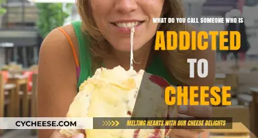 Cheese Obsession: Uncovering the Term for Dairy Delight Addicts